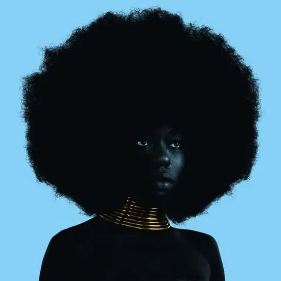 Sudan Archives - Sink (LP)