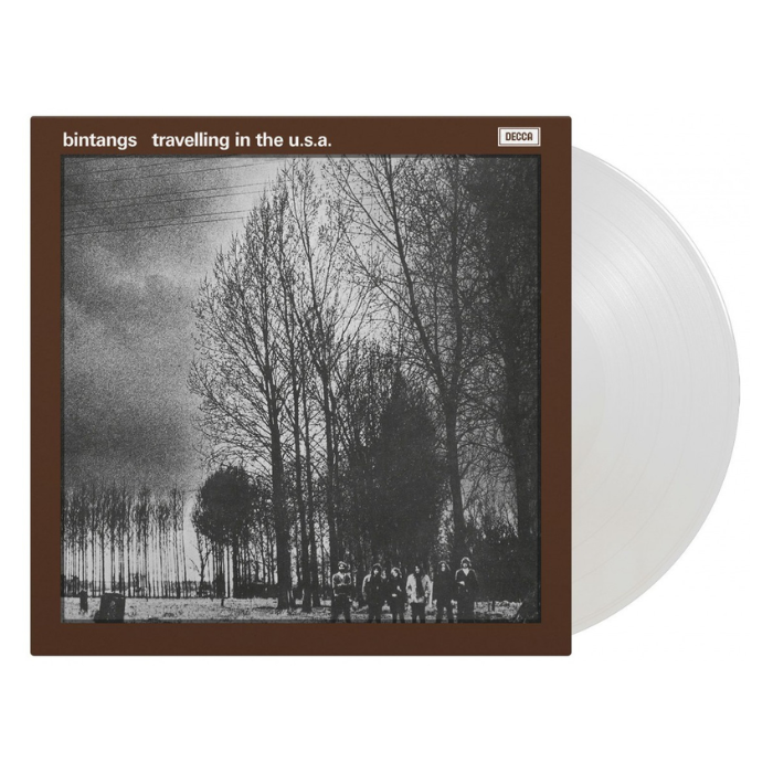Bintangs - Travelling In the USA (LP)