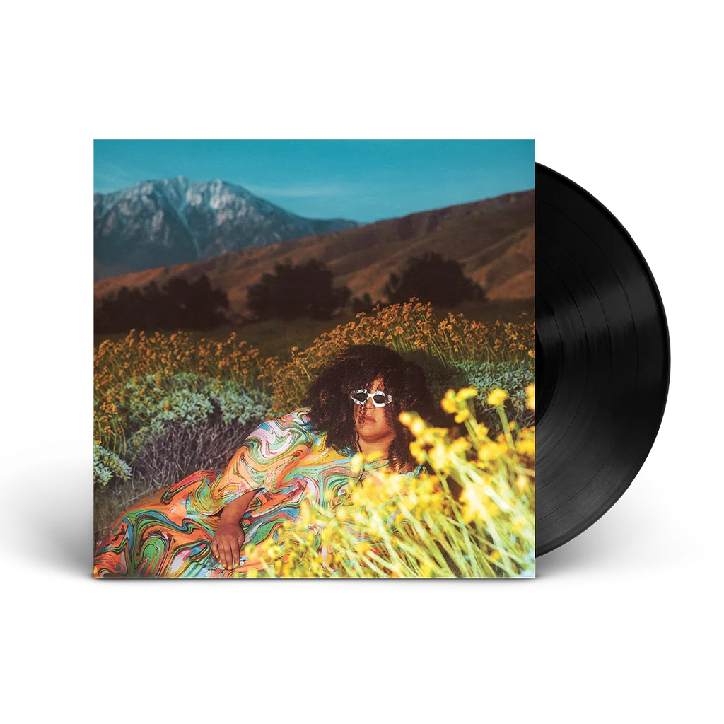 Brittany Howard - What Now (LP)