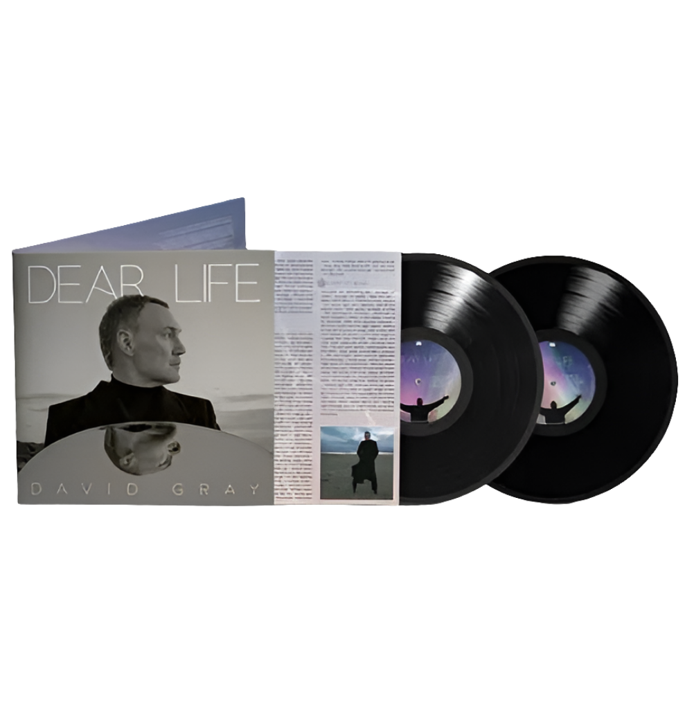 David Gray - Dear Life (2LP)