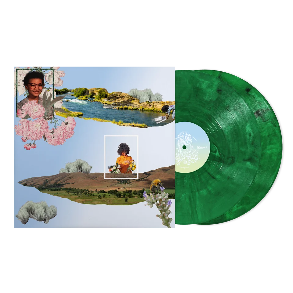 Esperanza Spalding - Esperanza (2LP)