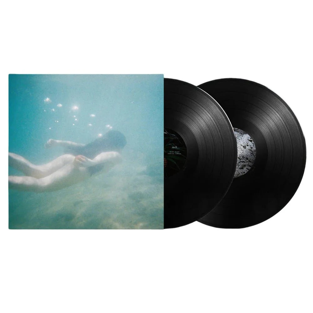 Ichiko Aoba - Windswept Adan (2LP)