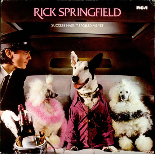 Rick Springfield – Success Hasn't Spoiled Me Yet (LP) (C40)