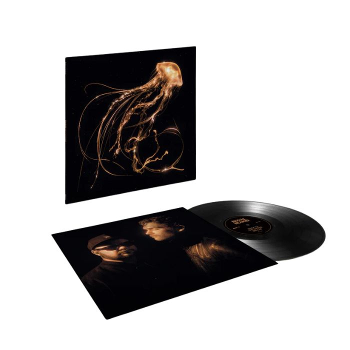 Royal Blood - Back To the Water Below (LP)
