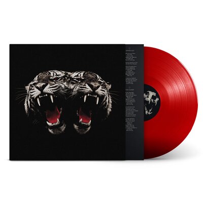 Royal Blood - Dead Company - RED (LP)