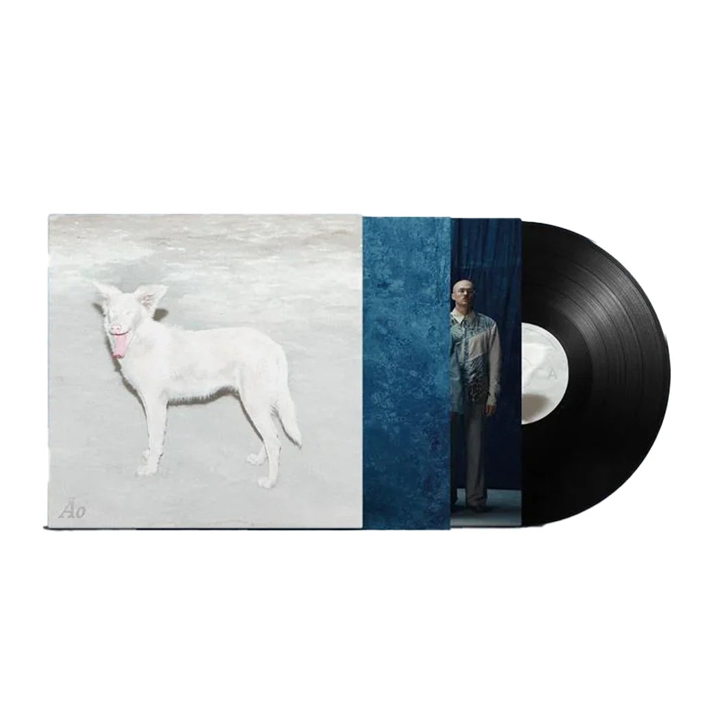Ão - Malandra (LP)