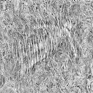 Charlie & The Lesbians – Fade (LP) - Bob's Vinyl