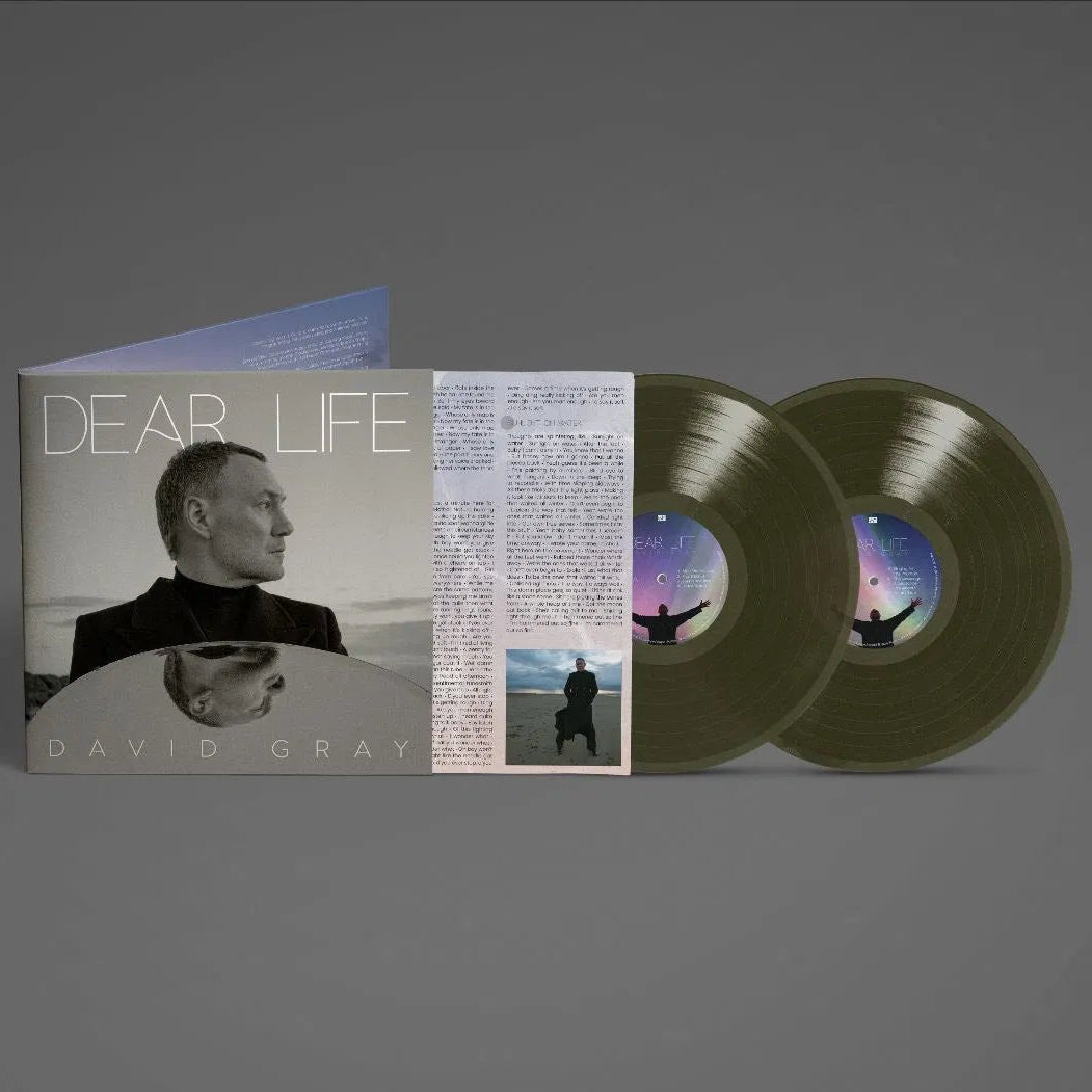 David Gray - Dear Life - Green - (2LP) - Bob's Vinyl