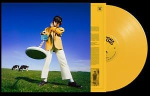 Declan McKenna - What Happened To the Beach? (LP) - Bob's Vinyl