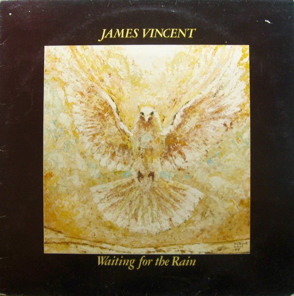 James Vincent – Waiting For The Rain (LP) D50 - Bob's Vinyl