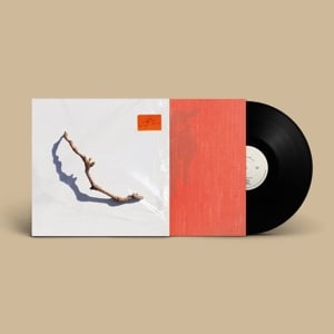 P.J. Harvey - I Inside the Old Year Dying (LP) - Bob's Vinyl