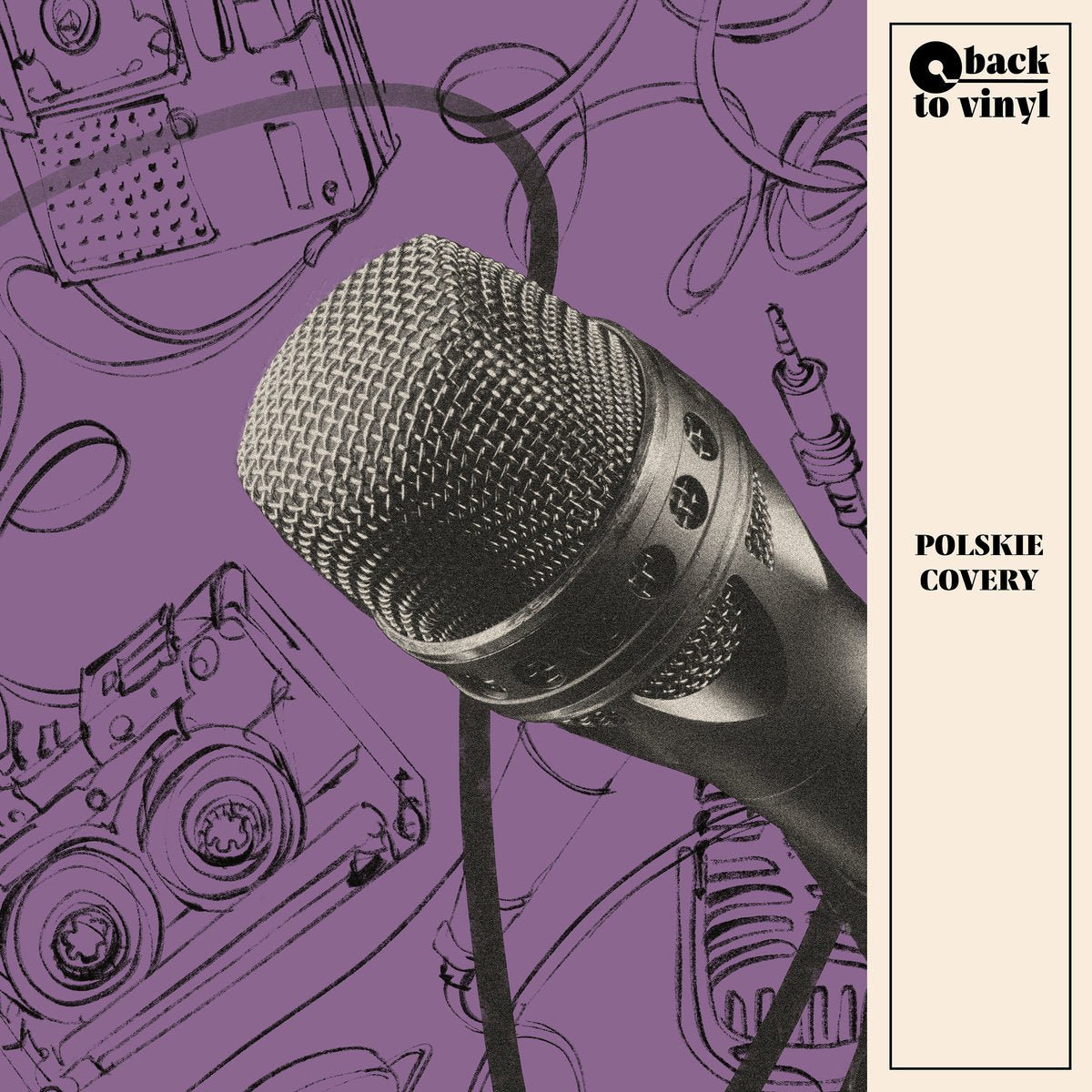 Various – Polskie Covery (LP) (M10)