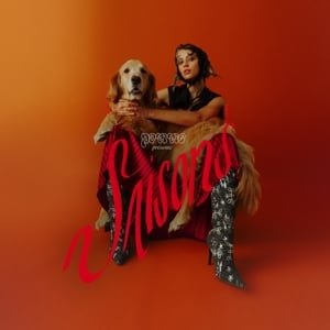 Pomme - Saisons LP) - Bob's Vinyl