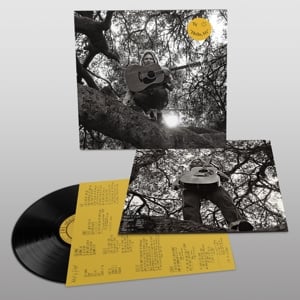 Ty Segall - "Hello, Hi" (LP) - Bob's Vinyl