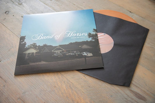 Zwarte Binnenhoezen voor LP's - met plastic voering - 10 stuks - Bob's Vinyl