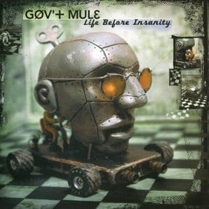 Gov't Mule - Life Before Insanity (2LP)