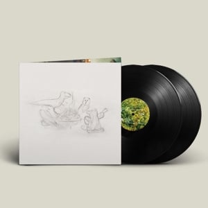 Big Thief – Dragon New Warm Mountain I Believe In You (2LP)