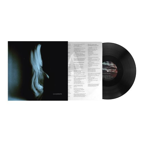 Tom Odell - A Wonderful Life (LP)