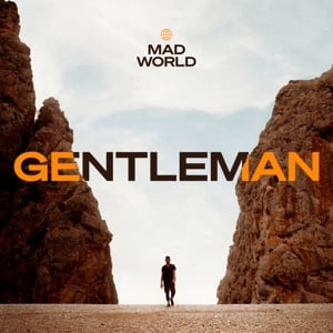 Gentleman - Mad World (LP)