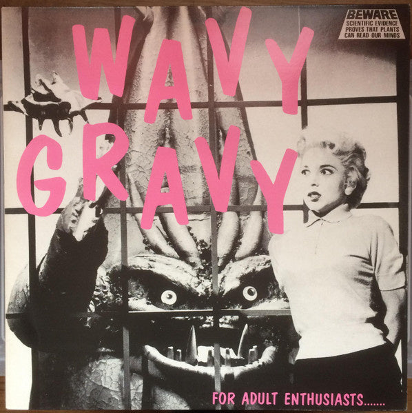 Various – Wavy Gravy - For Adult Enthusiasts....... (LP) J60