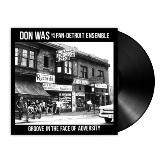 Don Was - Groove In the Face of Adversity (LP)