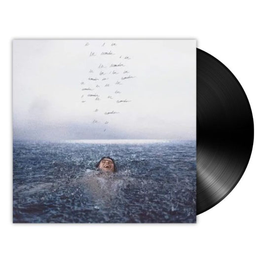 Shawn Mendes - Wonder (LP)
