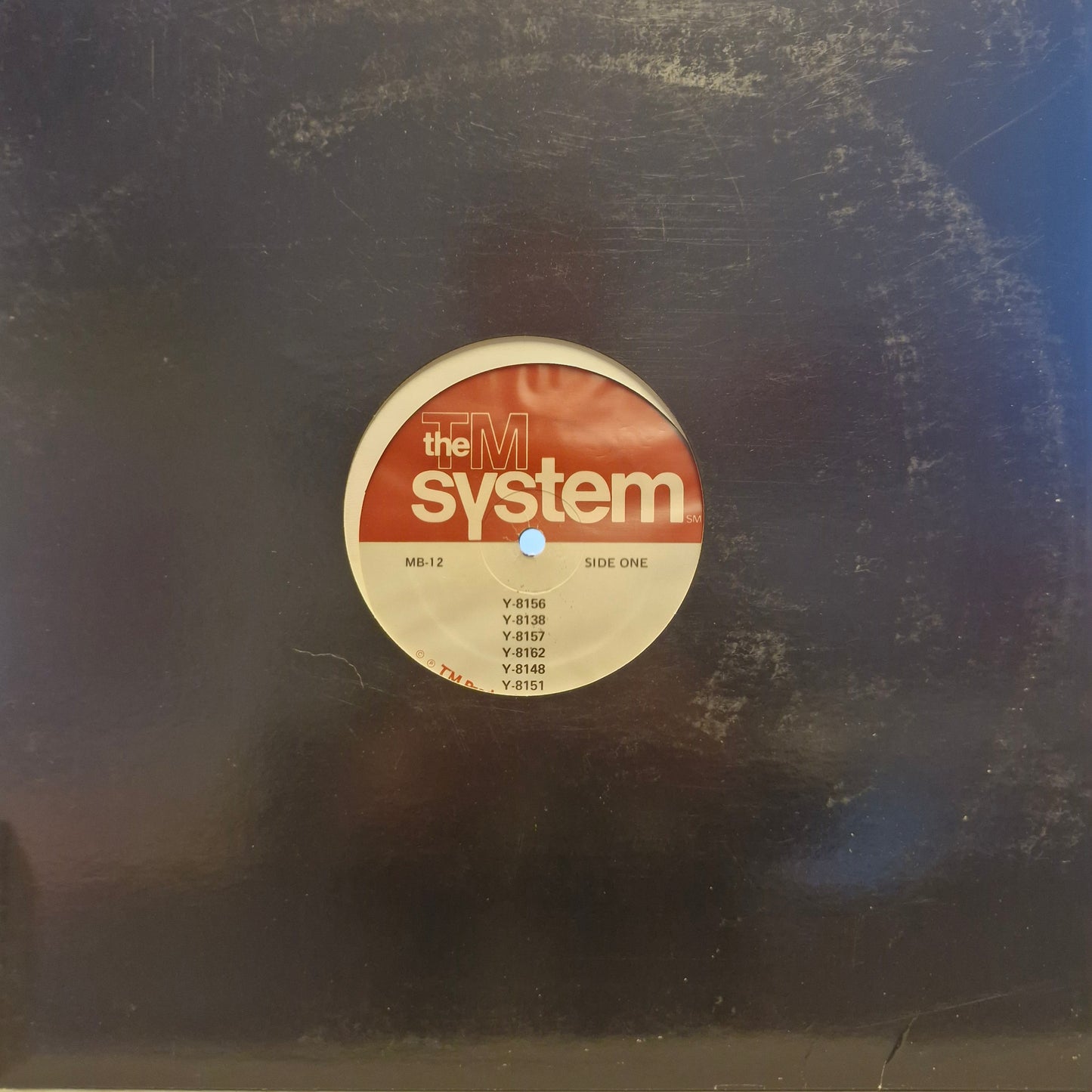 Unknown Artist – The TM System (LP) (K30)