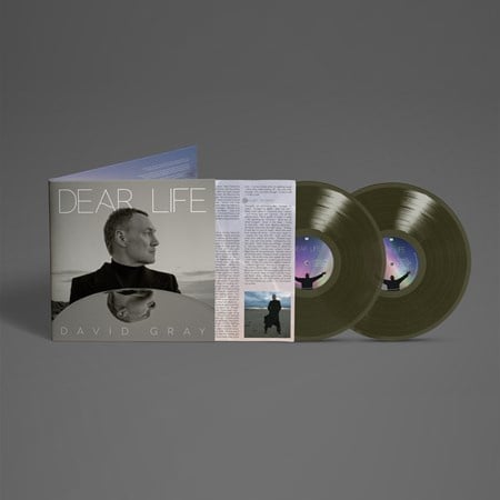 David Gray - Dear Life (PRE ORDER) (2LP)