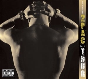 2PAC - Best of 2pac Pt 1: Thug (2LP)