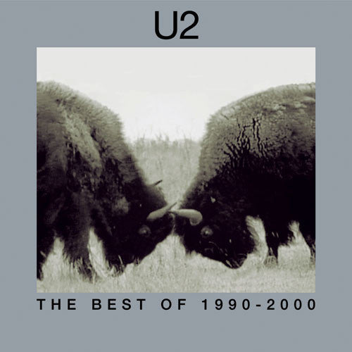 U2 ‎– The Best Of 1990 - 2000 (2LP)