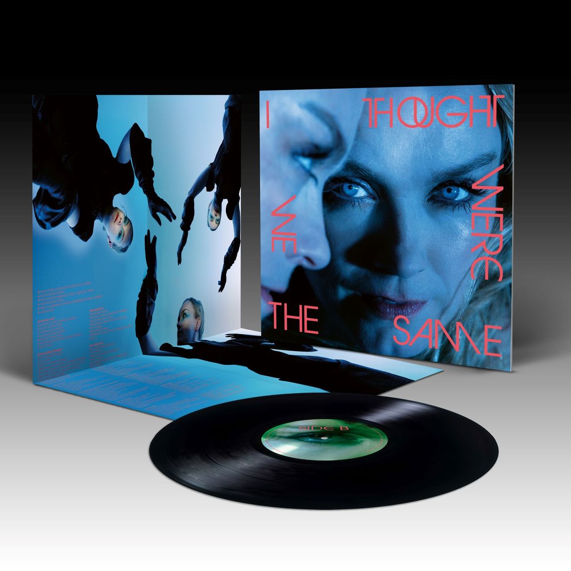 Ane Brun - I Thought We Were the Same (LP)