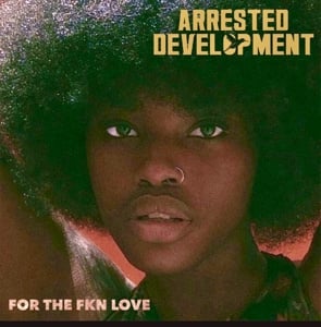 Arrested Development - For the Fkn Love (2LP)