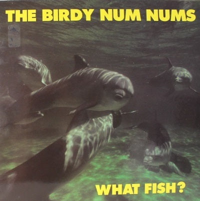 The Birdy Num Nums ‎– What Fish? (LP) H10