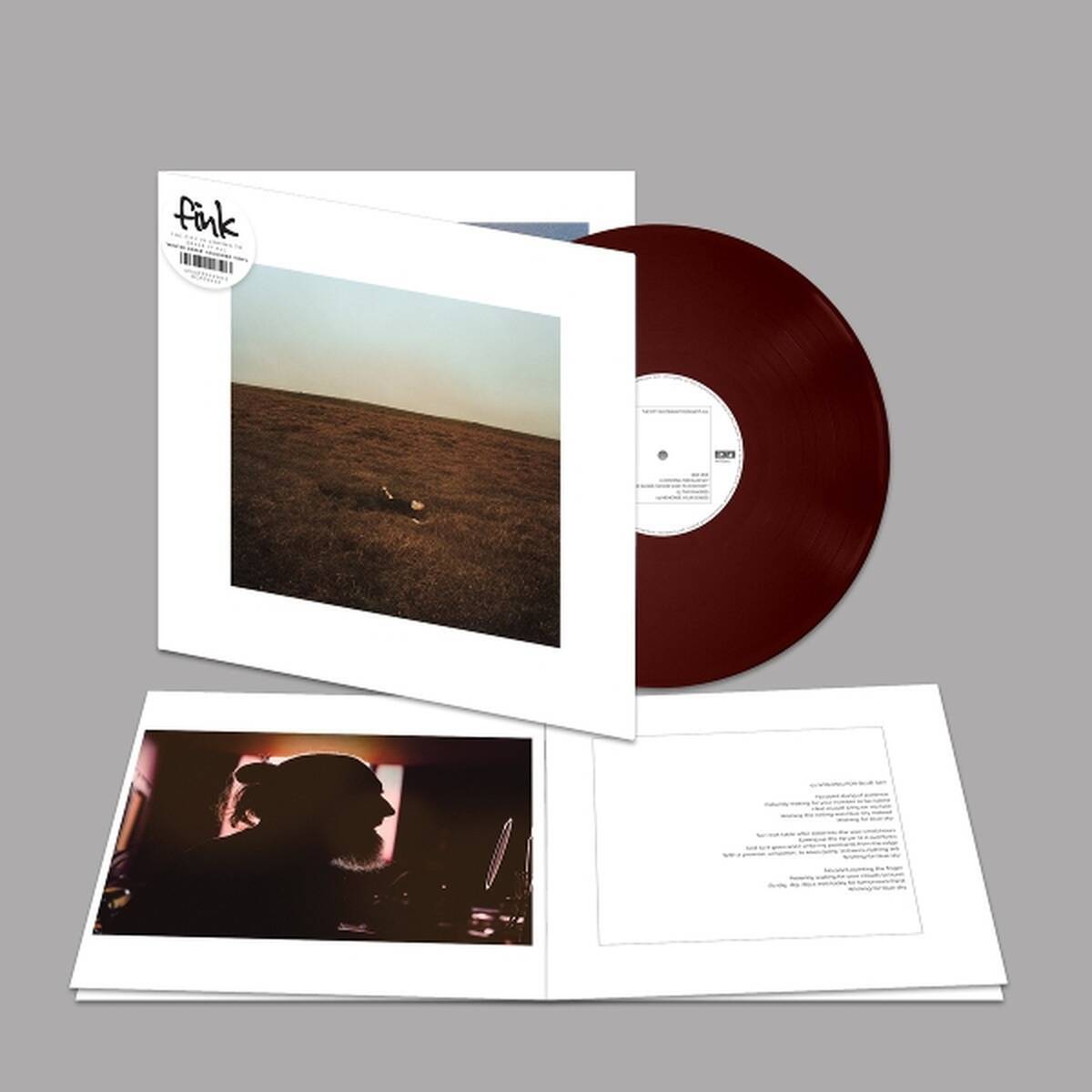 Fink - The City Coming To Erase It All -coloured- (LP)