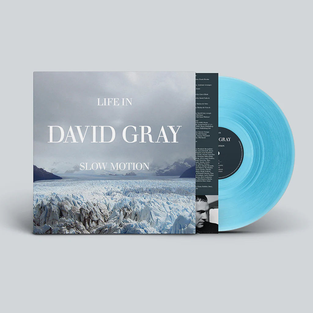 David Gray - Life In Slow Motion (LP)
