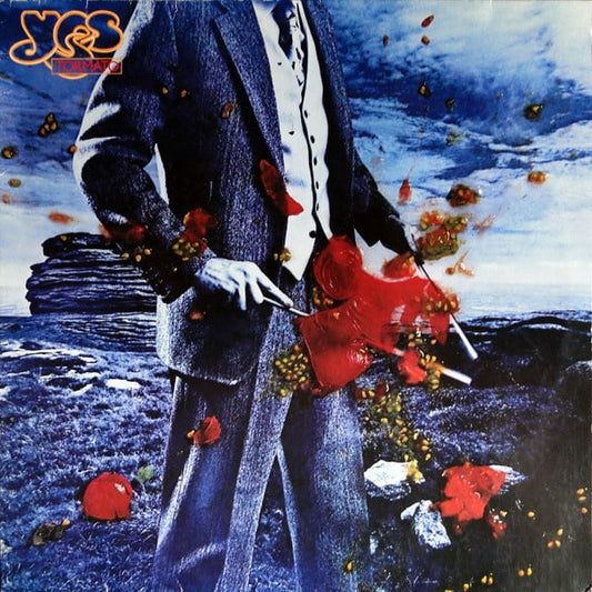 Yes - Tormato (LP) G20