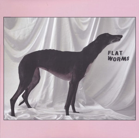 Flat Worms – Flat Worms (LP) H70