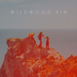 Wildwood Kin - Wildwood Kin (LP)