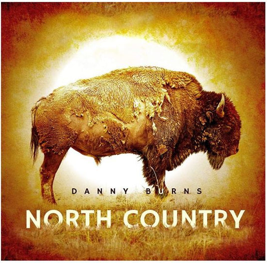 Danny Burns - North Country (LP)