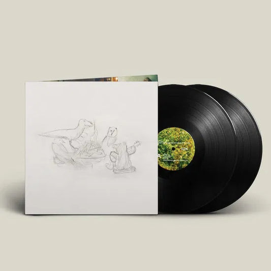 Big Thief - Dragon New Warm Mountain I Believe In You (2LP)
