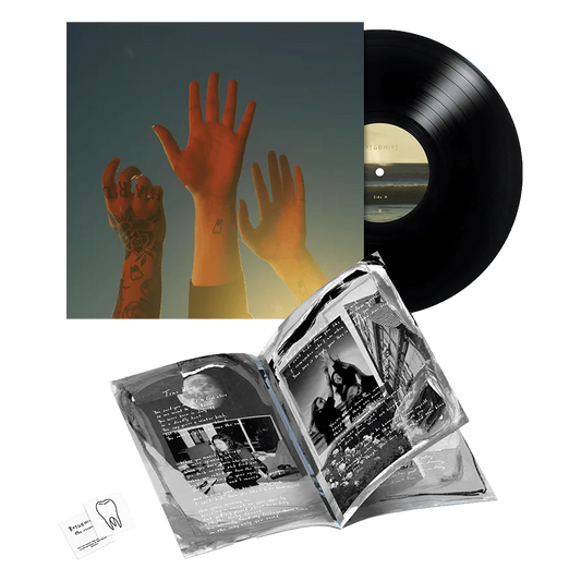 Boygenius - Record (LP)