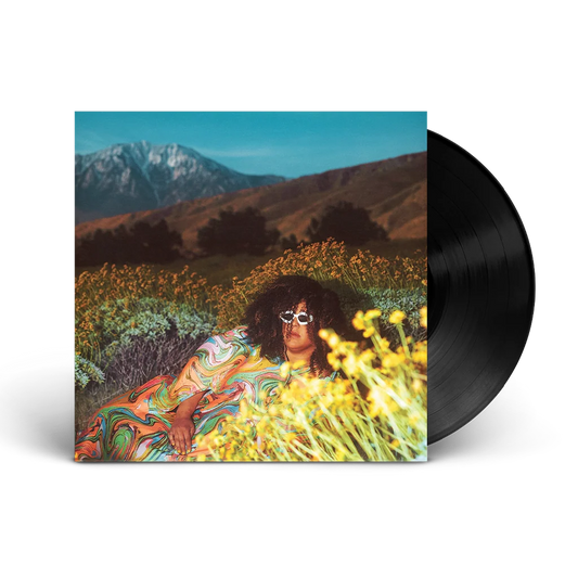 Brittany Howard - What Now (LP)