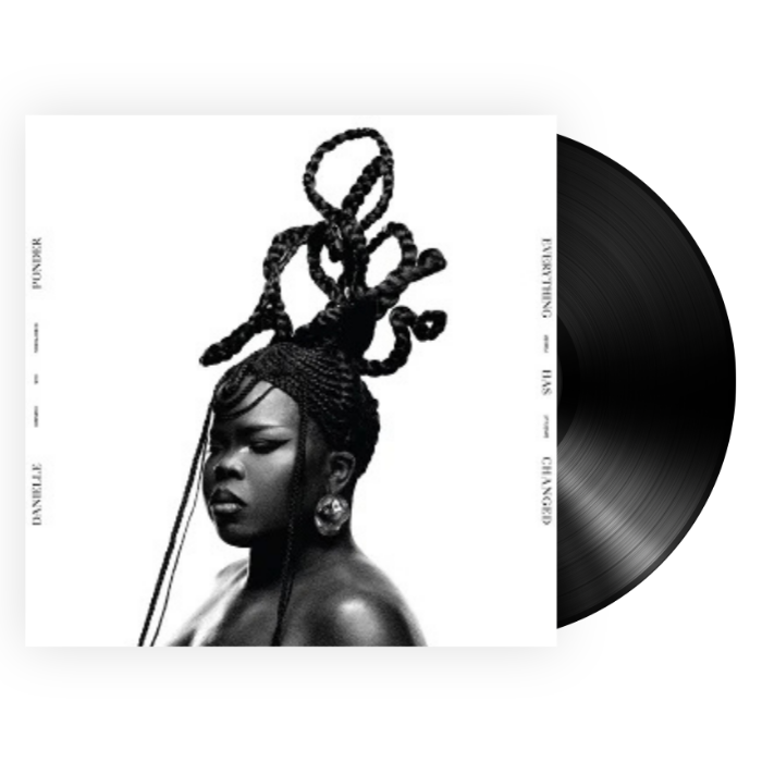 Danielle Ponder - Everything Has Changed (LP)