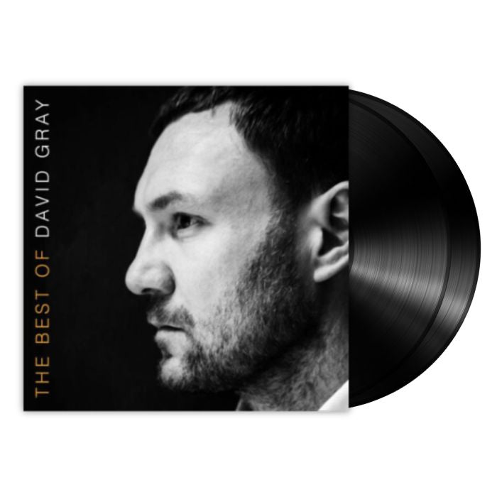 David Gray - Best of David Gray (2LP)