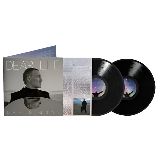 David Gray - Dear Life (2LP)