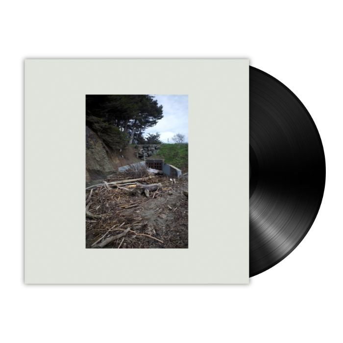 Mac DeMarco - Five Easy Hot Dogs (LP)