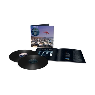 Pink Floyd - A Momentary Lapse Of Reason (2LP)
