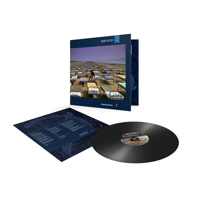 Pink Floyd - A Momentary Lapse of Reason (LP)