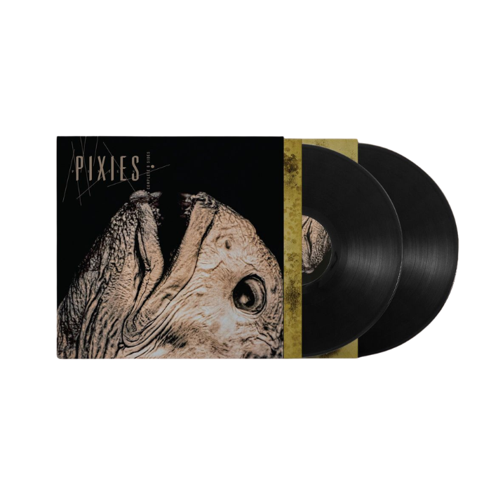 Pixies - Complete B-Sides: 1988-97 (2LP)