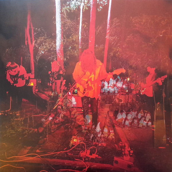 Psychedelic Porn Crumpets - Levitation Sessions (LP) (A10)